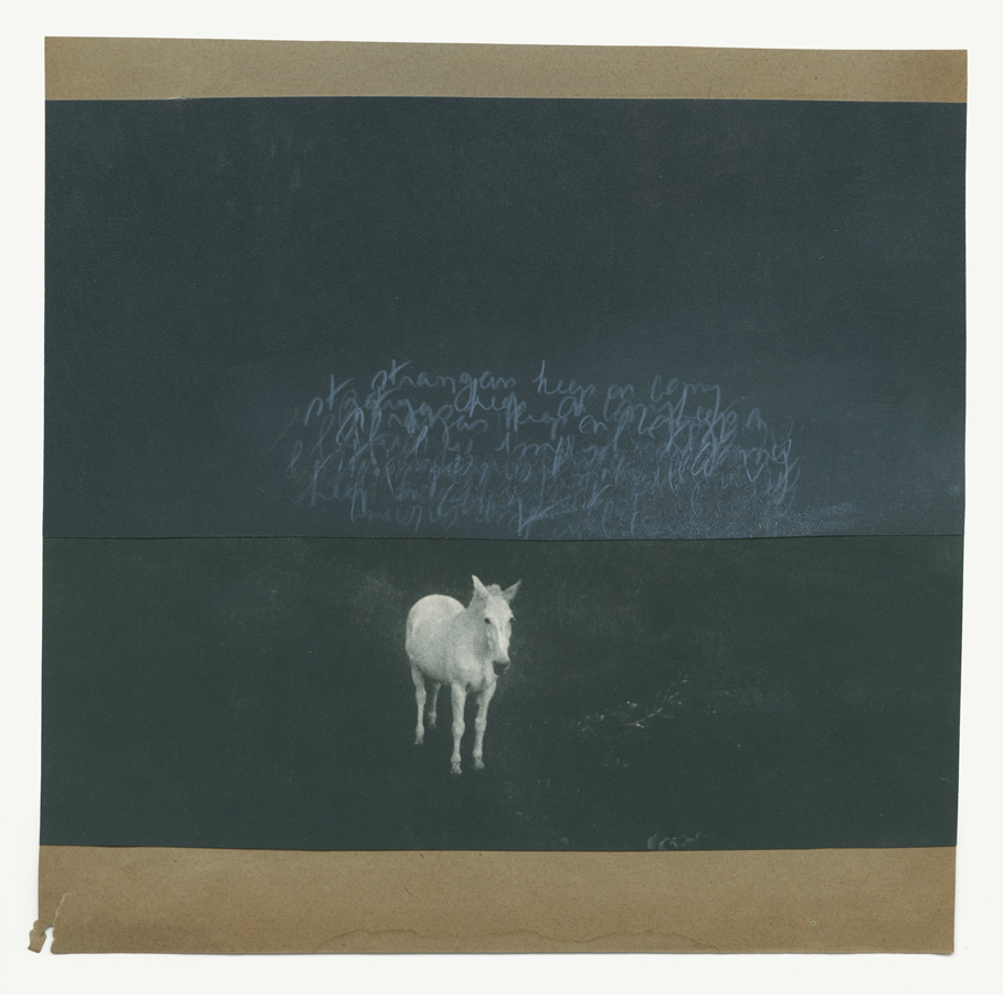 Blue Bruises 71
